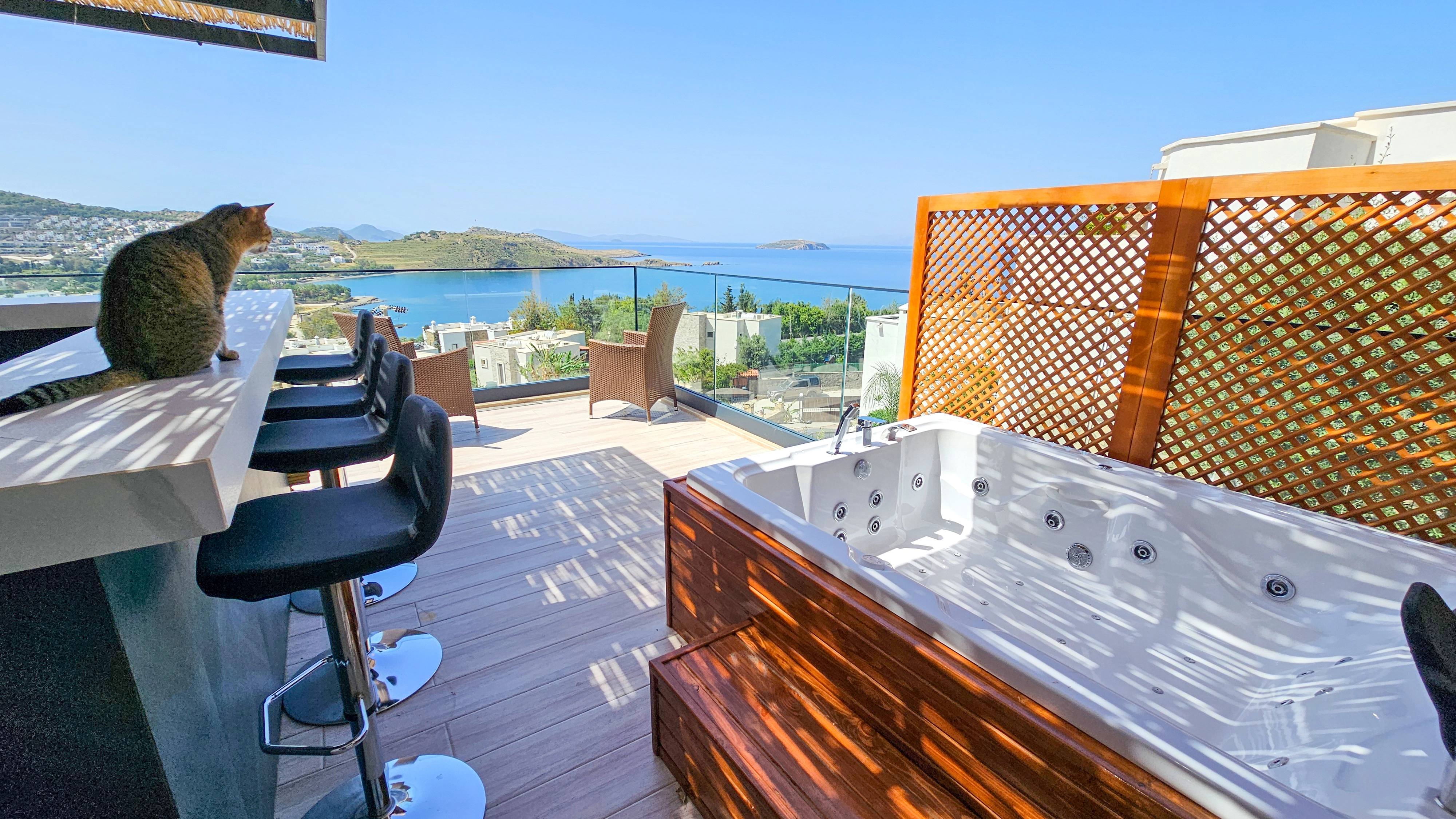 Pet friendly villa view